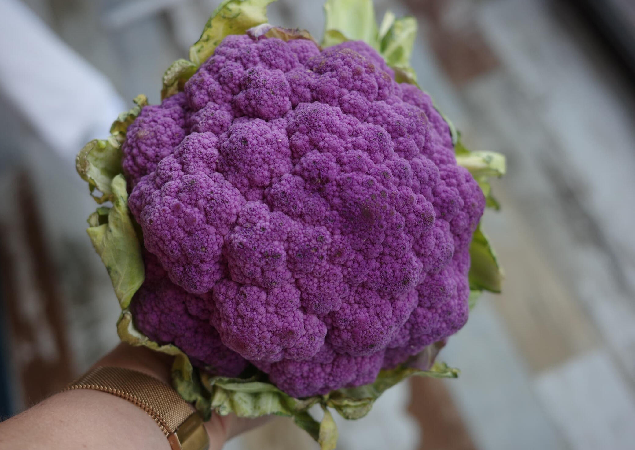 Purple cauliflower